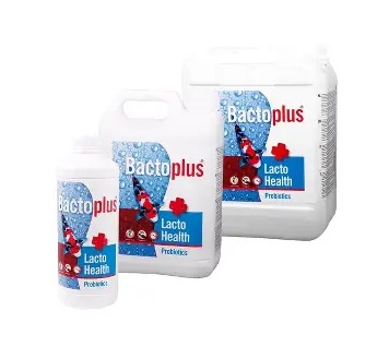 Trzy pojemniki (butelki i galonowe kanistry) produktu akwarystycznego "Bactoplus Lacto Health Probiotics" w różnych rozmiarach. Wszystkie mają niebiesko-czerwoną etykietę z wizerunkiem ryby koi.