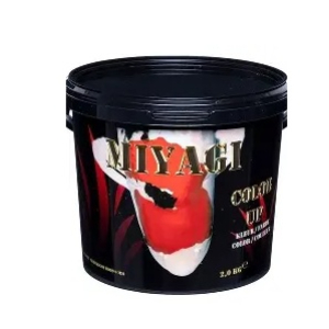 MIYAGI COLOR UP