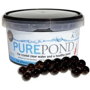 PURE POND