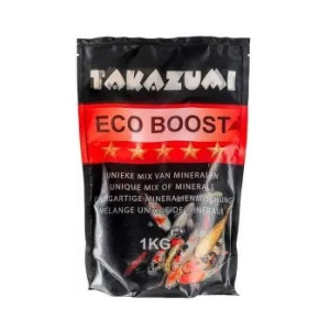 ECO BOOST